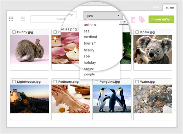אזור המדיה אזור המדיה